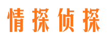 百色侦探公司